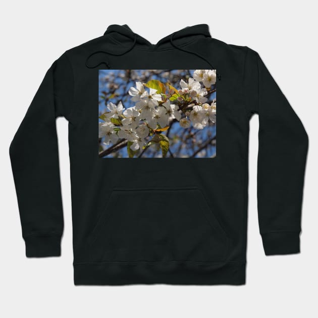 Spring is Here Hoodie by MarkRBowman